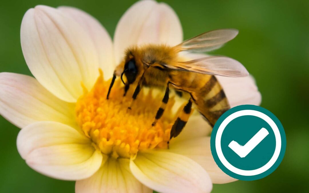 Boost hive safety with bee verification: the smart way to authenticate pollination data.