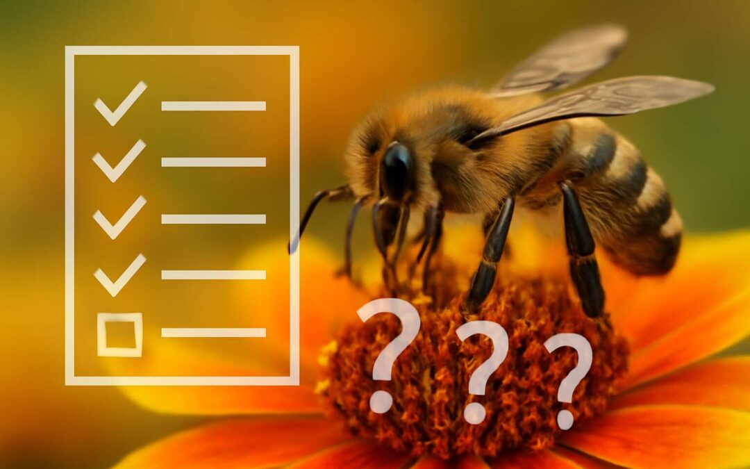Ace your next interview with bee verification interview questions and tips.