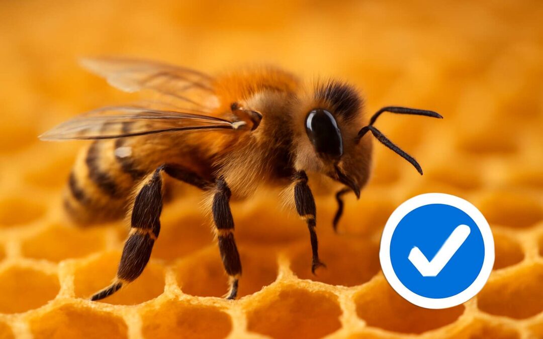 The bee verification manual: Fast, Foolproof Tips for Healthy Hives