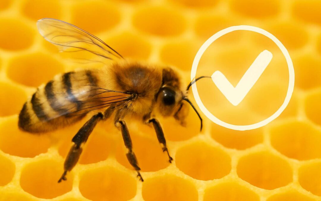 what is bee verification