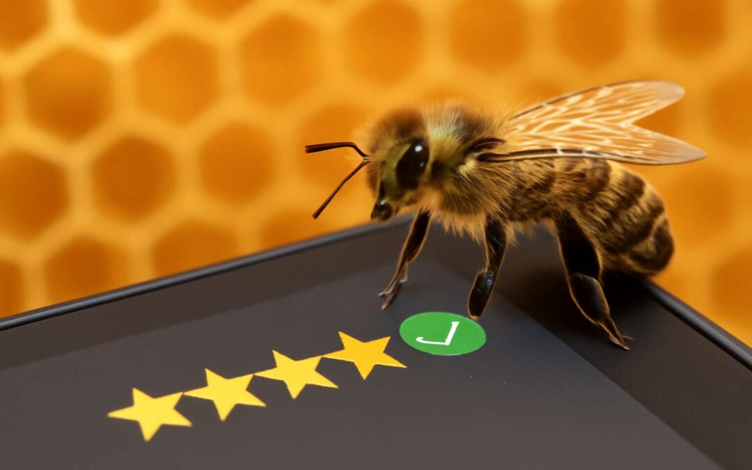 bee star rating verification